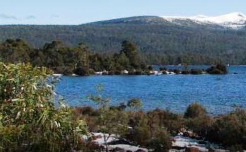 Derwent Bridge Chalets & Studios Екстериор снимка